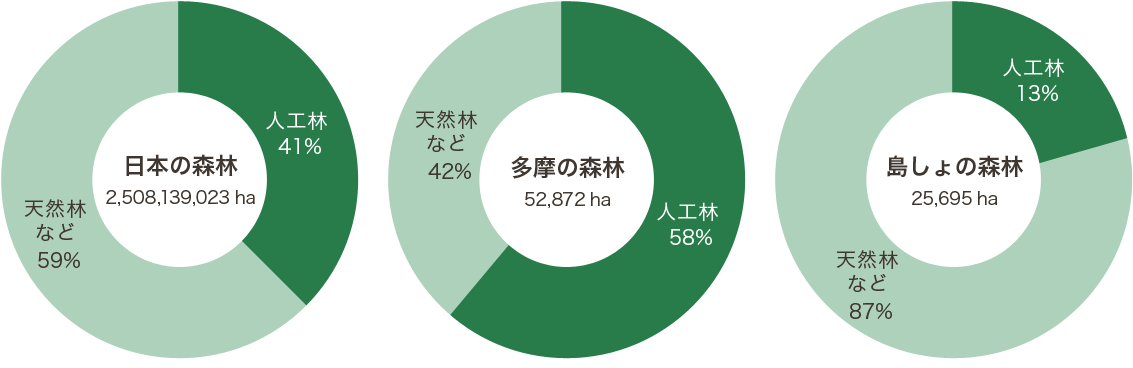 日本全体と多摩地域、島しょ地域の森林の人工林率を示す、3つの円グラフ。人工林の割合は、日本全体では41％、多摩地域では58％、島しょ地域では13％を占めており、残りは天然林などになります。