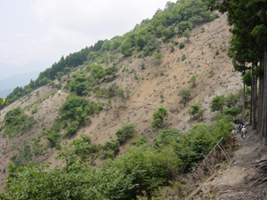 土がむき出しになった山の斜面の写真