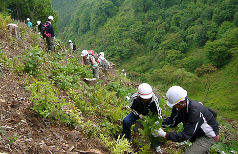 急斜面で植栽する人々の写真