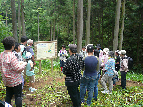 森林に立てられた説明板の前で、職員の話を聞く参加者たちの写真