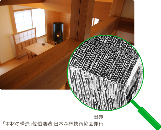 木材が使われた家屋と、細胞の拡大写真。細胞の写真出典「木材の構造」佐伯浩著　日本森林技術協会発行