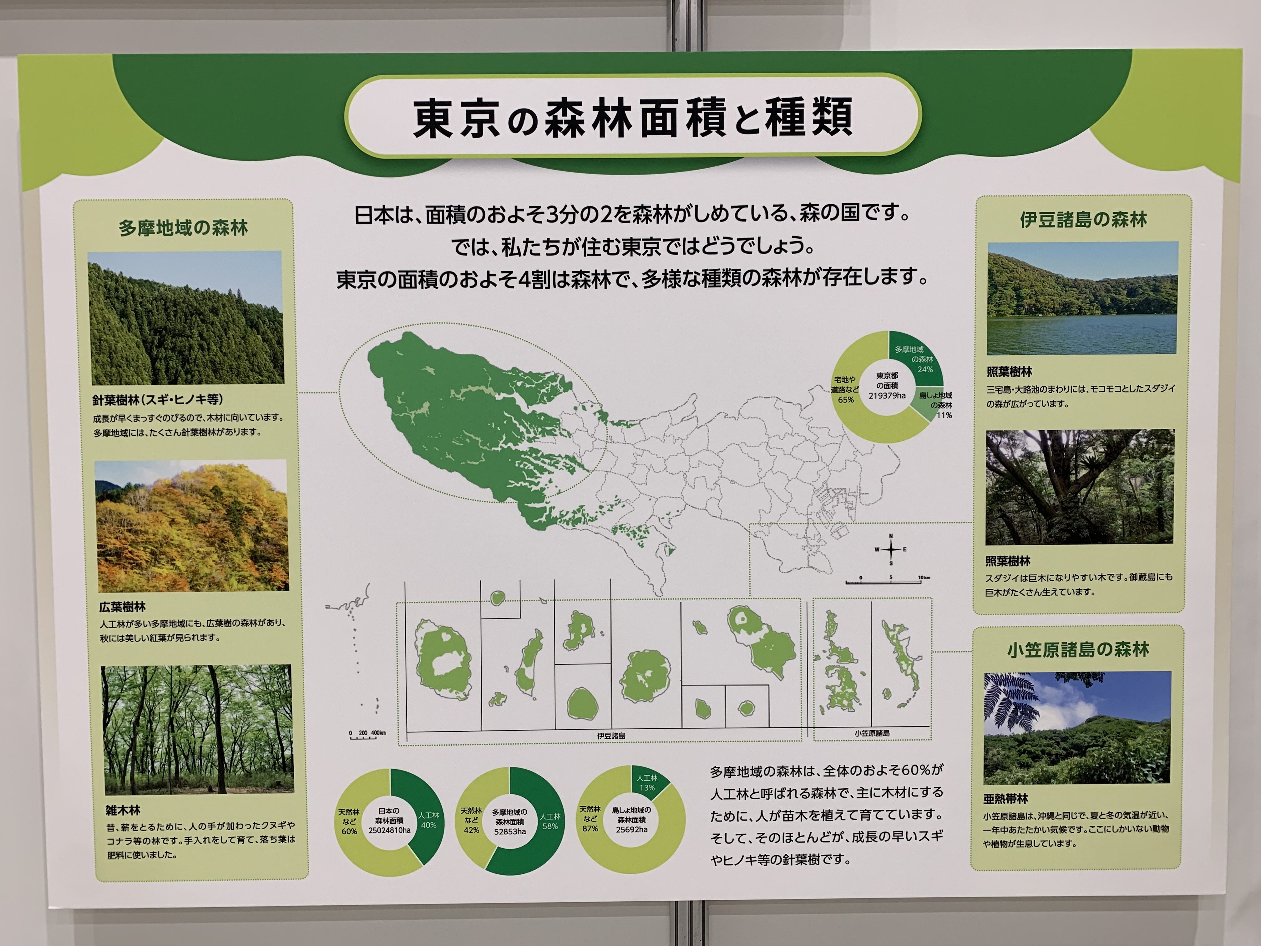 東京の森林概況の写真